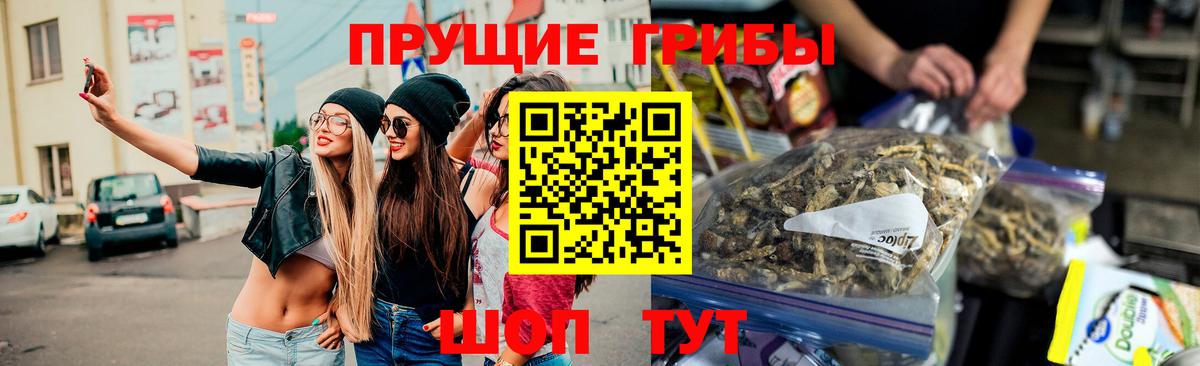 Новозыбков  Псилоцибиновые грибы Magic Shrooms  Вход с VPN  Галлюциногенные грибы Psilocybe 